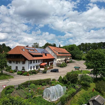 Haus Schlageter Apartman Dachsberg im Schwarzwald Kültér fotó