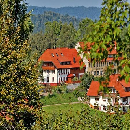 Haus Schlageter Apartman Dachsberg im Schwarzwald Kültér fotó