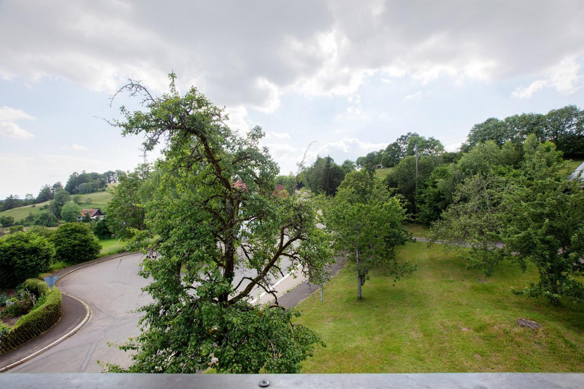 Haus Schlageter Apartman Dachsberg im Schwarzwald Kültér fotó