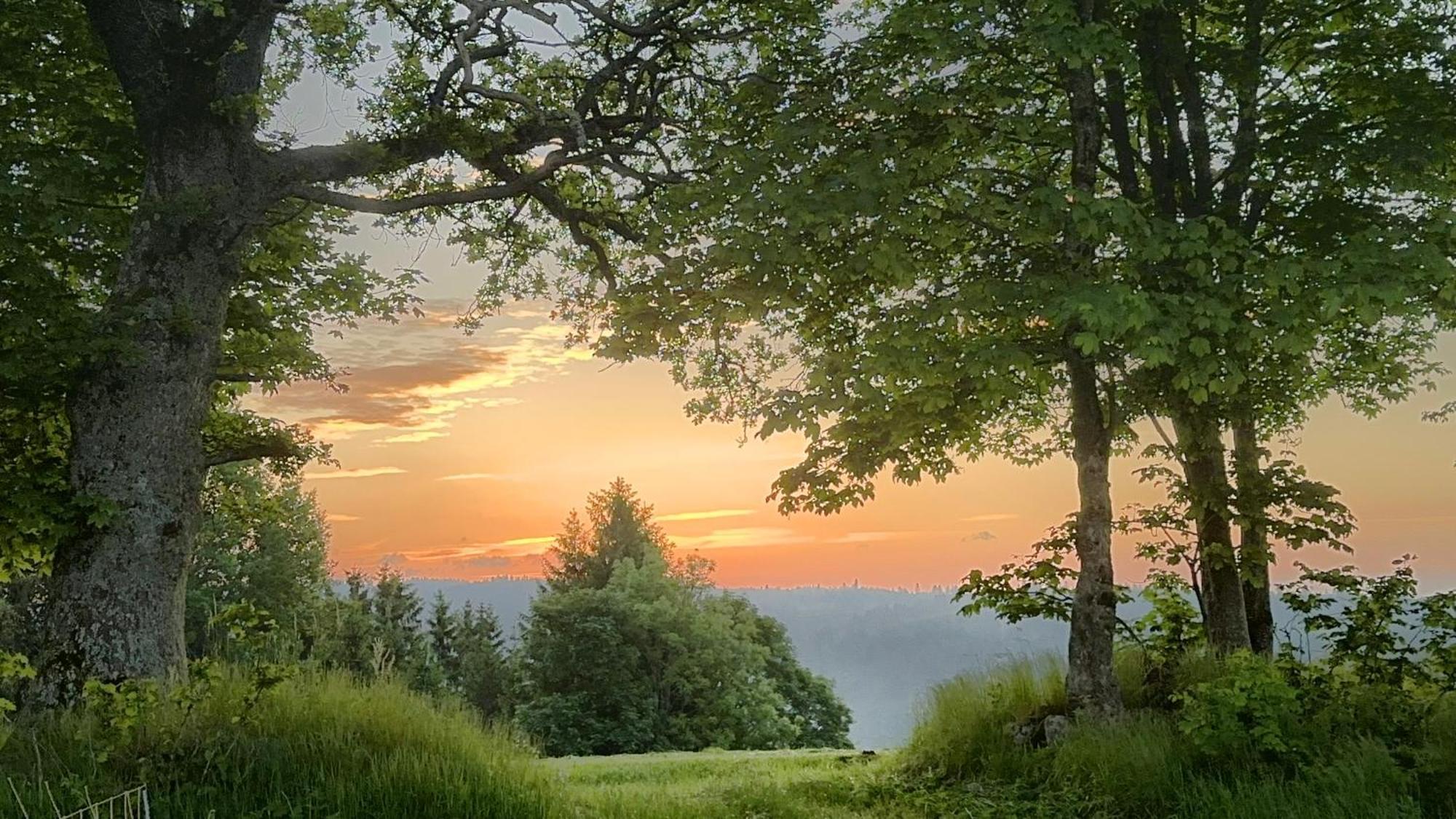 Haus Schlageter Apartman Dachsberg im Schwarzwald Kültér fotó