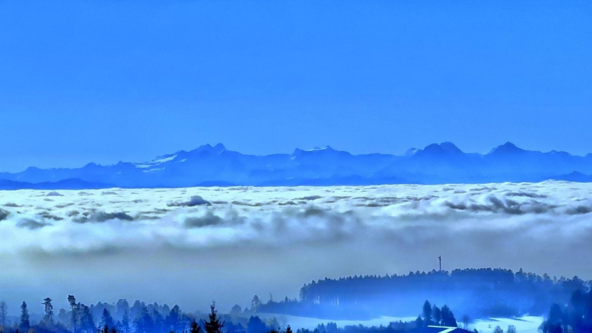 Haus Schlageter Apartman Dachsberg im Schwarzwald Kültér fotó