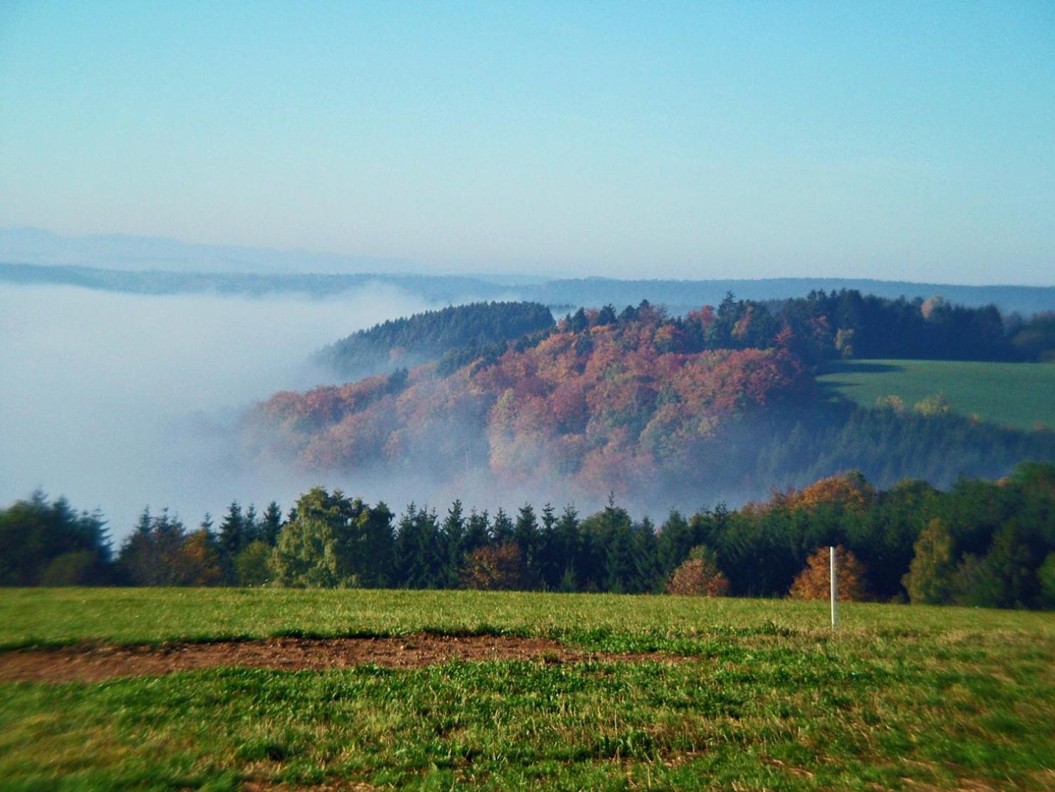 Haus Schlageter Apartman Dachsberg im Schwarzwald Kültér fotó
