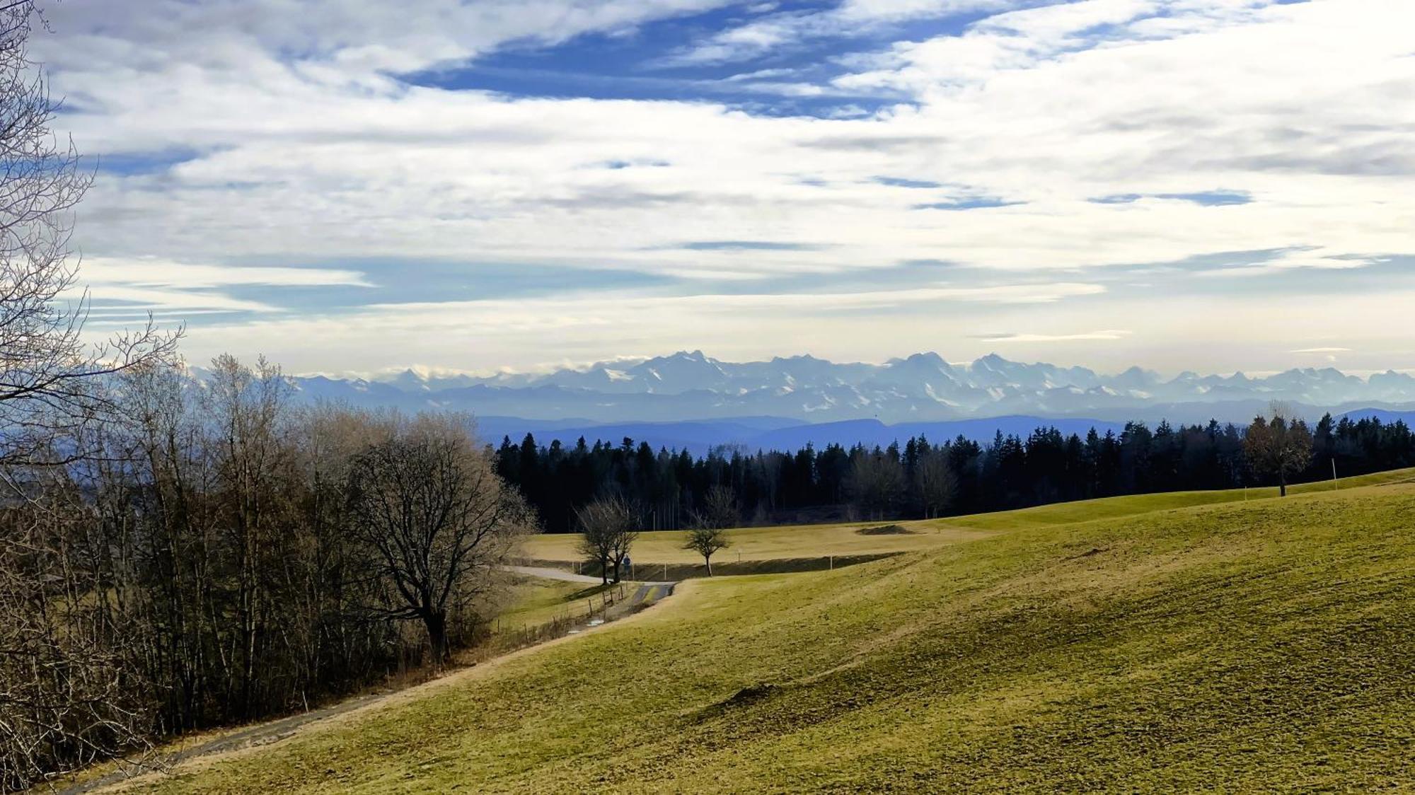 Haus Schlageter Apartman Dachsberg im Schwarzwald Kültér fotó