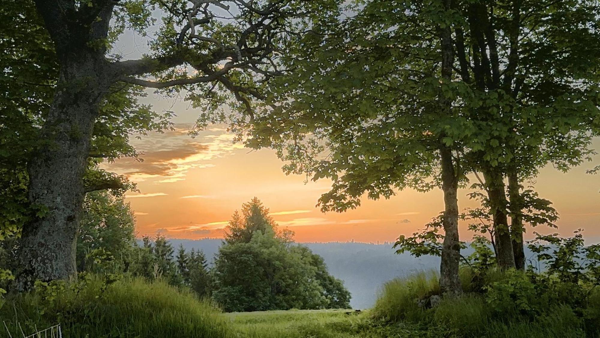 Haus Schlageter Apartman Dachsberg im Schwarzwald Kültér fotó